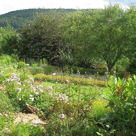 Gaestezimmer Wagner * Ганн. Мюнден